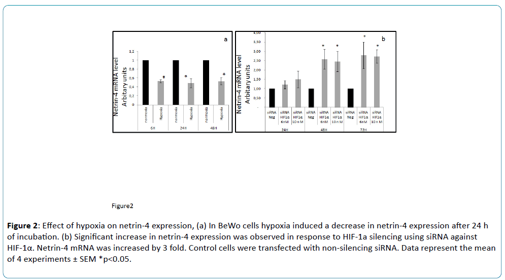 reproductive-endocrinology-infertility-Effect-hypoxia